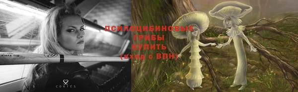 бошки Ладушкин