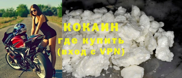 бошки Ладушкин