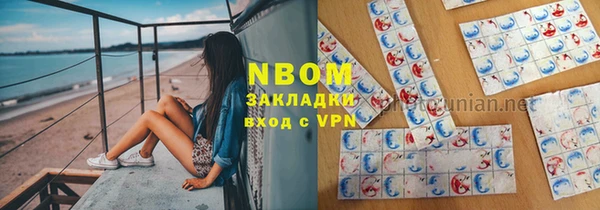 бошки Ладушкин