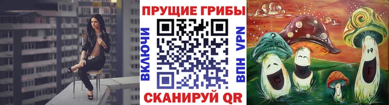 кракен ссылки Михайловка Галлюциногенные грибы ЛСД
